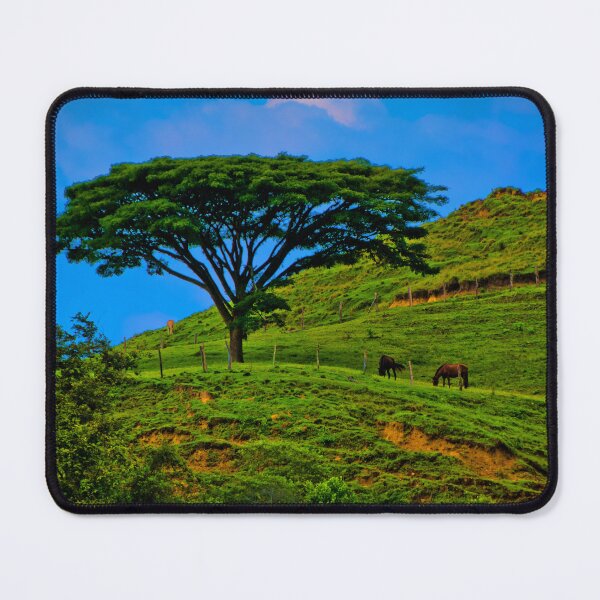 Item preview, Peaceful San Rafael Way designed and sold by alabca.