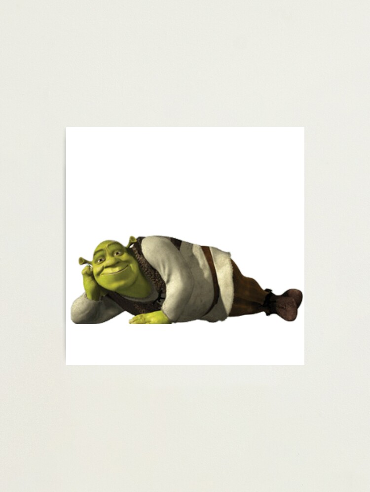 Download Funny Shrek Embarrassed Meme Wallpaper