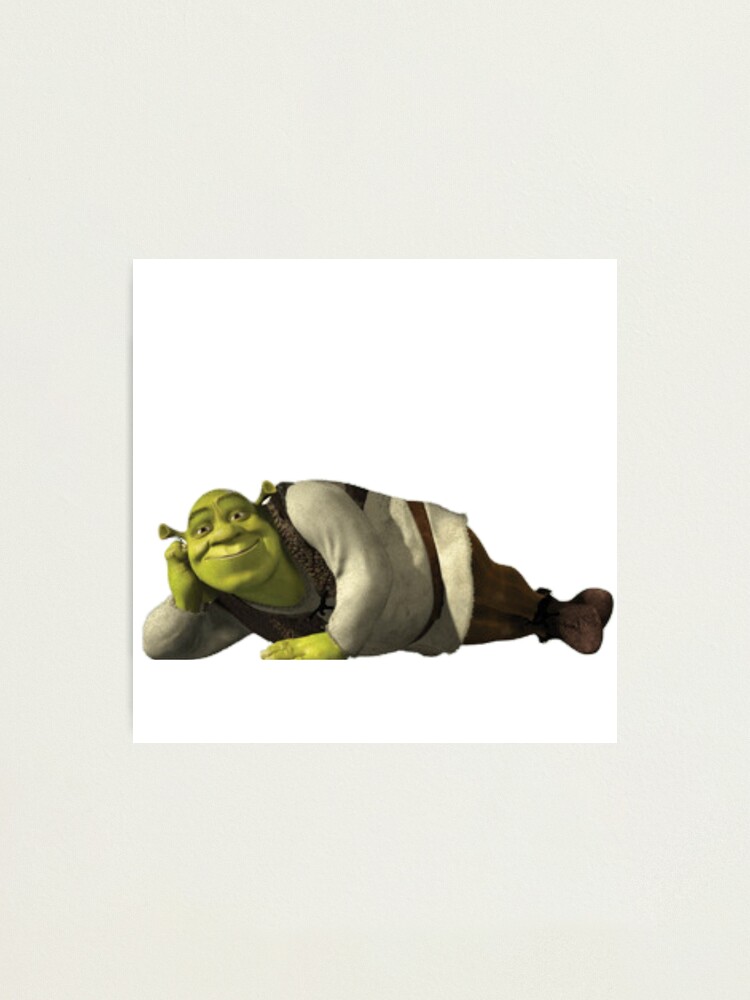 Shrek T-Pose  Photographic Print for Sale by KikimoraFasbn