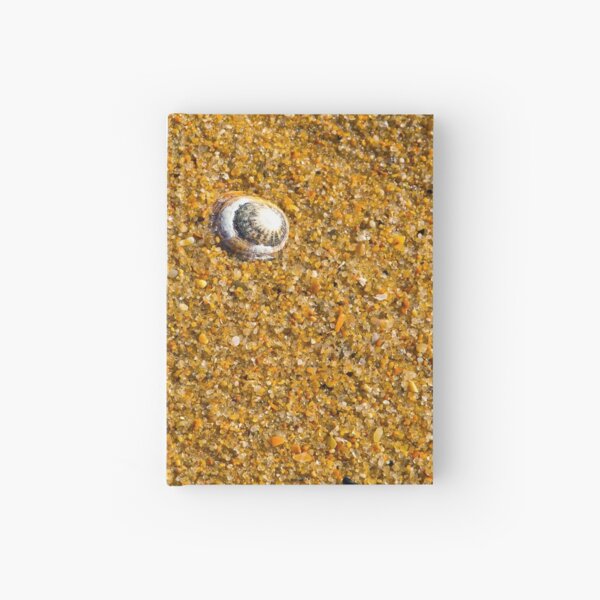 Item preview, This Little Shell.. designed and sold by mitpjenkeating.
