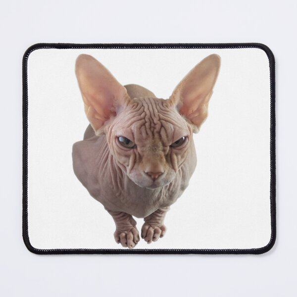 Item preview, Round Grumpy Sphynx designed and sold by esset.