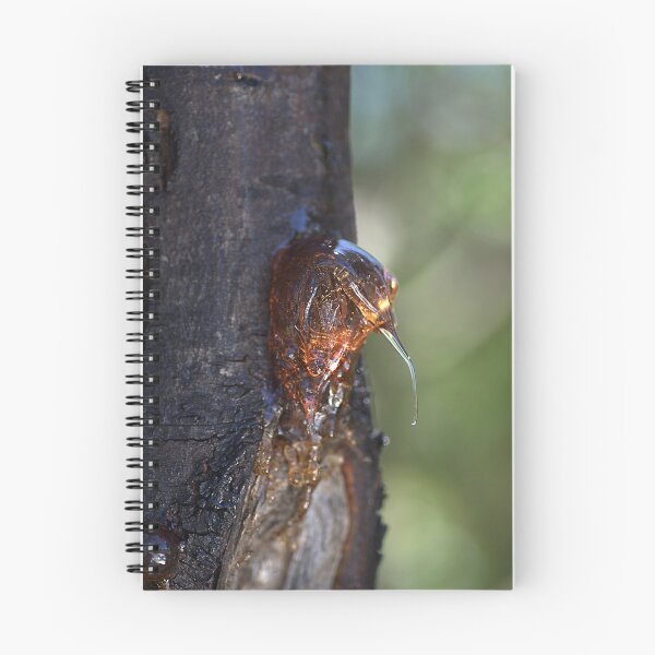 Item preview, Nature's Toffee designed and sold by Joy Watson - Natural Light Photography .