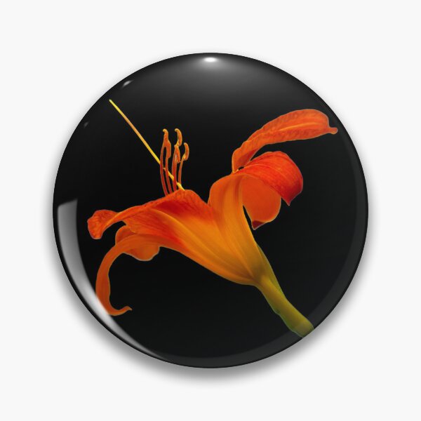 Item preview, Lirio naranja - fondo negro designed and sold by Louise-Mae.