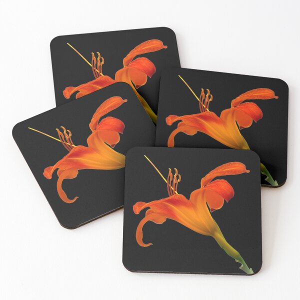 Item preview, Orange Lily - black background designed and sold by Louise-Mae.
