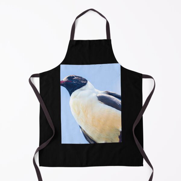 Aperçu de l'œuvre Mouette curieuse 2 créée et vendue par rsxwigrj73.