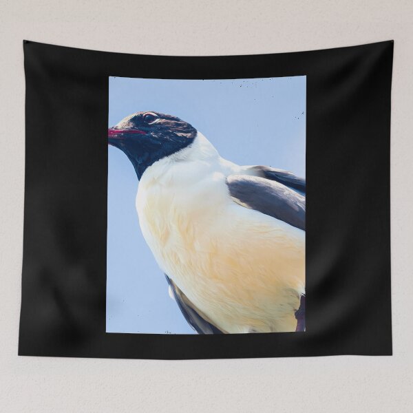 Item preview, Curious Seagull 2  	 	 designed and sold by rsxwigrj73.