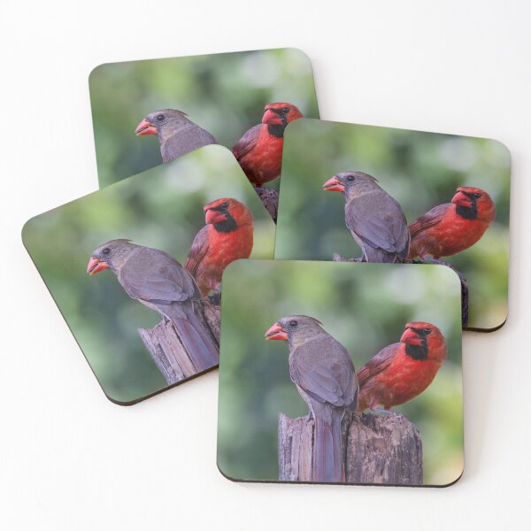 Item preview, Cardinals on an Old Fence Post designed and sold by JohnO2019.