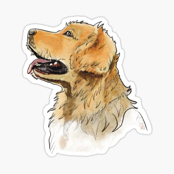 Golden Retriever Profile Sticker