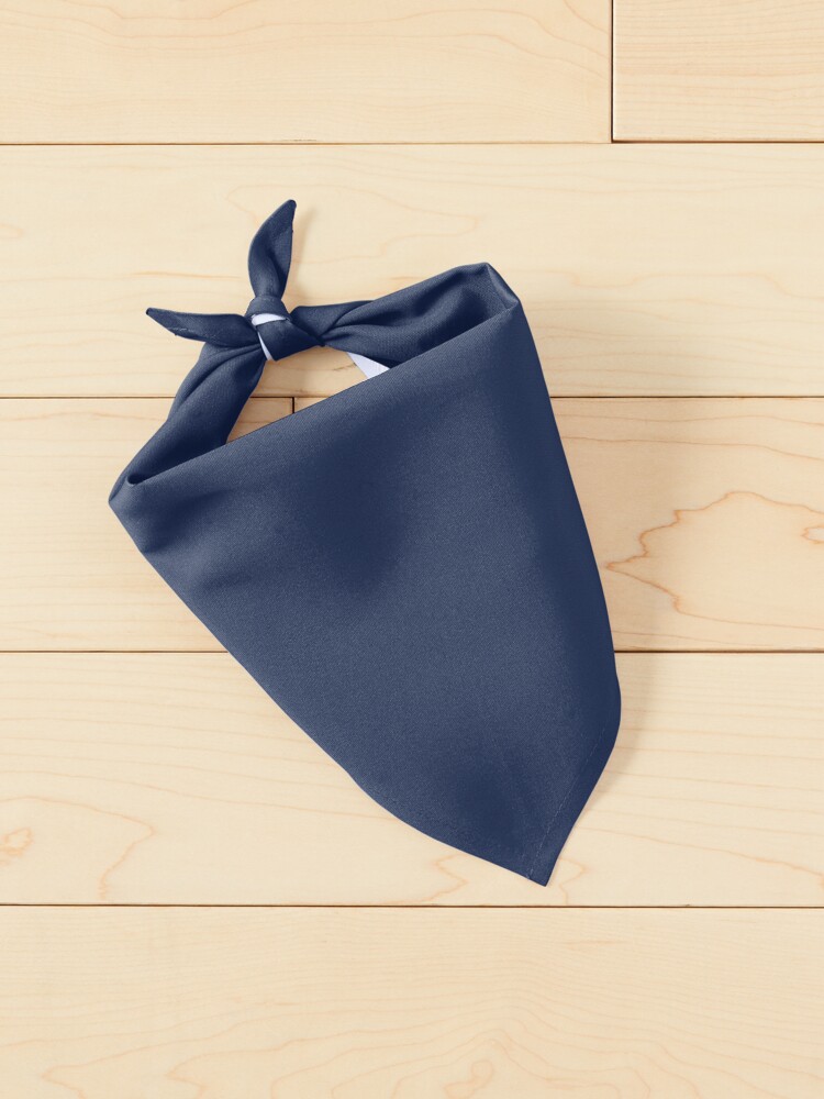 new yankees-city Pet Bandana for Sale by ringgosa