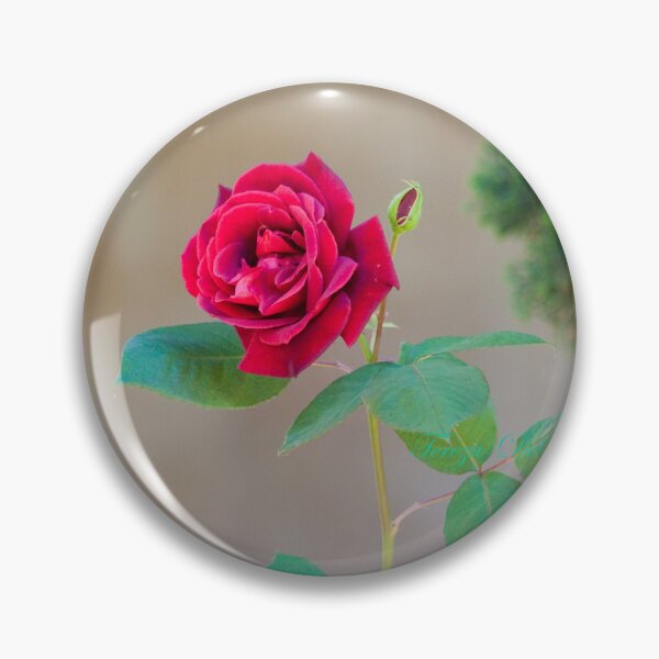 Item preview, cloister rose designed and sold by Tereza Pilar  Art.