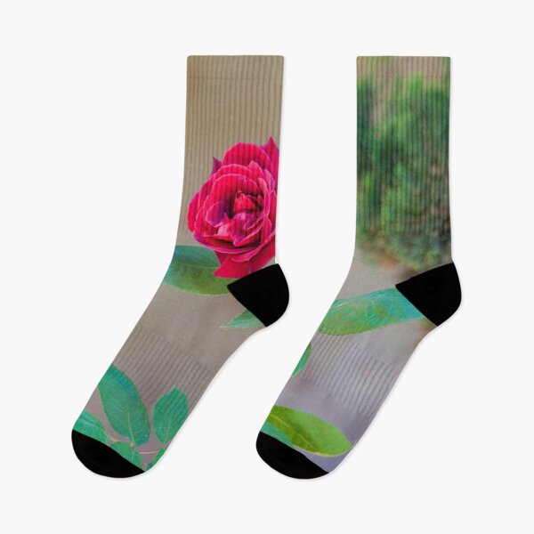 Item preview, cloister rose designed and sold by Tereza Pilar  Art.