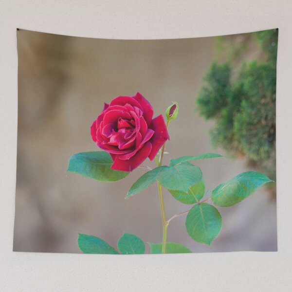 Item preview, cloister rose designed and sold by Tereza Pilar  Art.