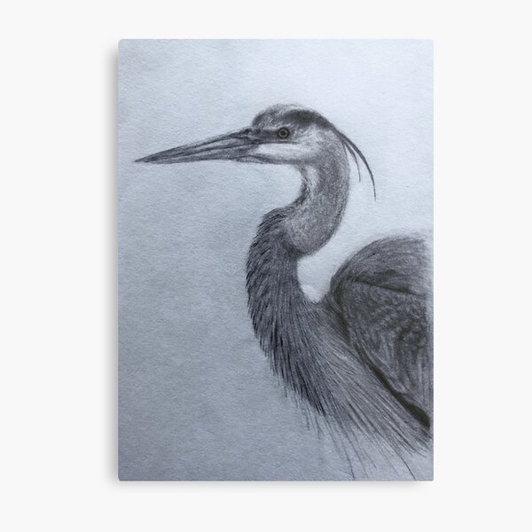 Item preview, Great Blue Heron designed and sold by Connerbrownart.