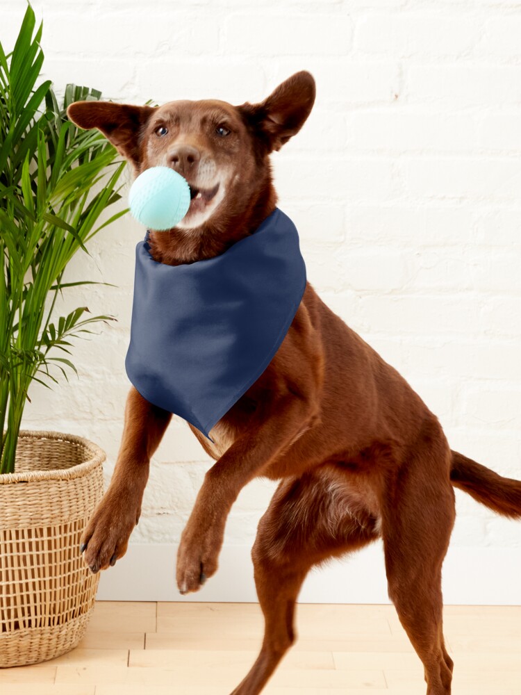 new yankees-city Pet Bandana for Sale by ringgosa