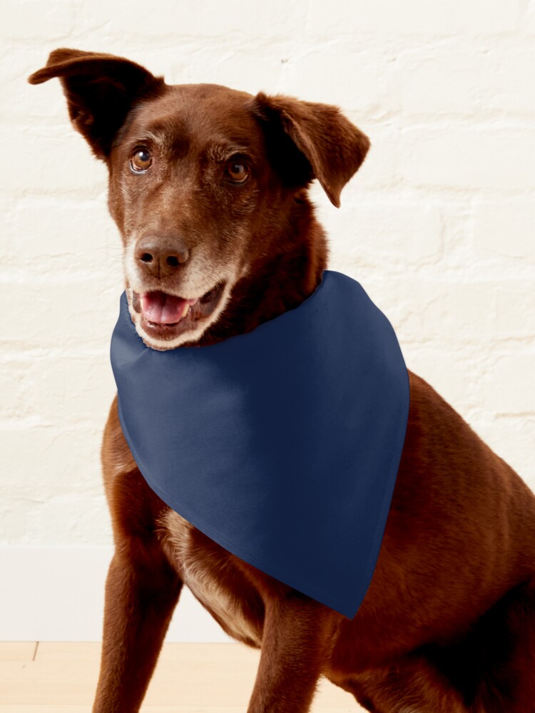 new yankees-city Pet Bandana for Sale by ringgosa