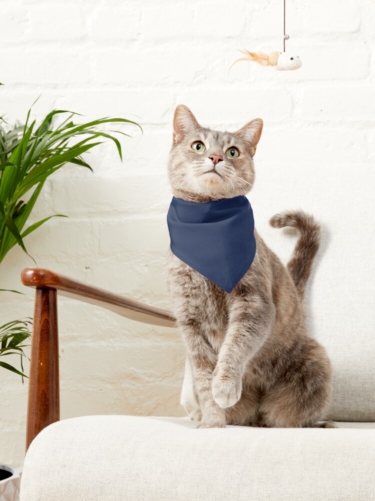 new yankees-city Pet Bandana for Sale by ringgosa