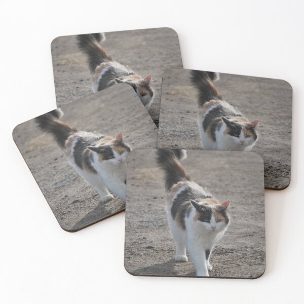 Item preview, calico cat on the prowl designed and sold by AlishaWatson.