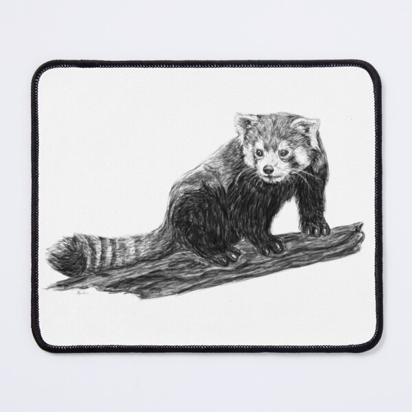 Item preview, Red Panda (Realistic Pencil Drawing) | Safari Sketches designed and sold by flypigart.