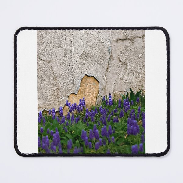 Item preview, time for update  designed and sold by Maurice-BackBay.