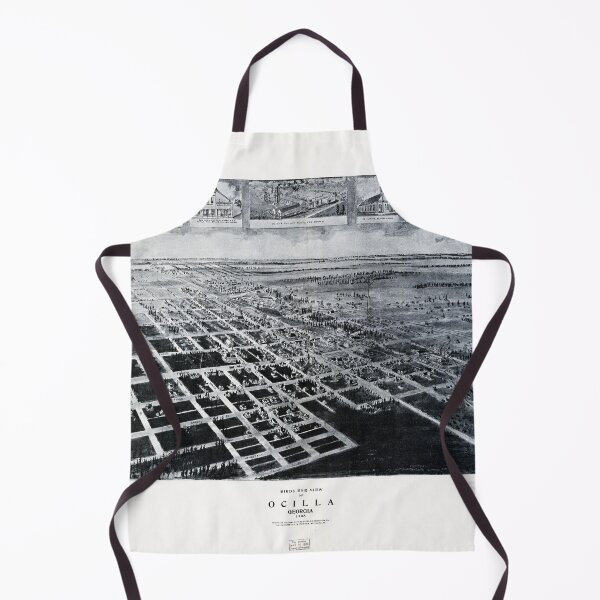 Item preview, Ocilla, Georgia (1908) designed and sold by allhistory.