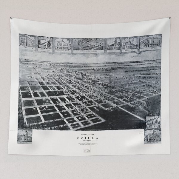 Item preview, Ocilla, Georgia (1908) designed and sold by allhistory.