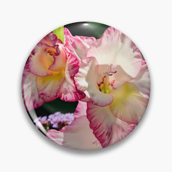 Item preview, Gladiolus Priscilla designed and sold by Weston  Westmoreland.