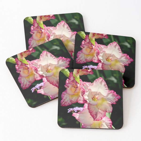 Item preview, Gladiolus Priscilla designed and sold by Weston  Westmoreland.
