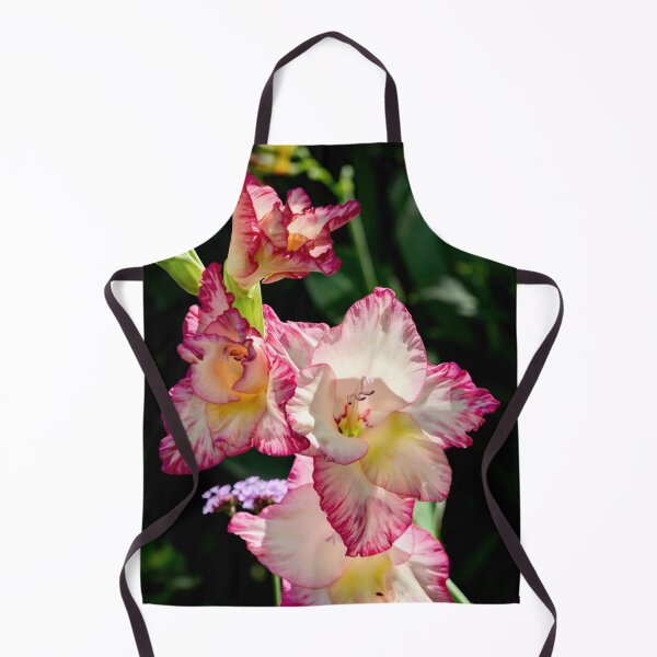 Item preview, Gladiolus Priscilla designed and sold by Weston Westmoreland.