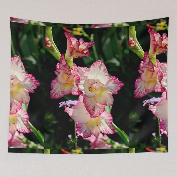 Item preview, Gladiolus Priscilla designed and sold by Weston  Westmoreland.