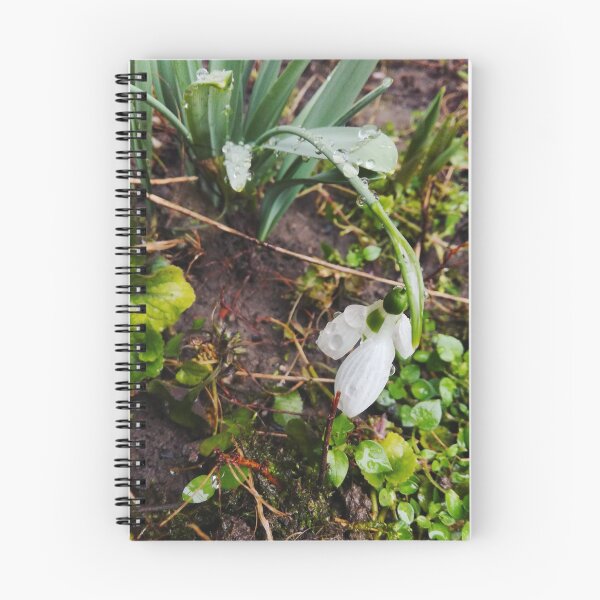 Item preview, Snowdrop in grass designed and sold by MacaArtistry.