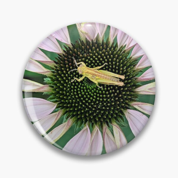 Item preview, Just Chilling designed and sold by searchlight.