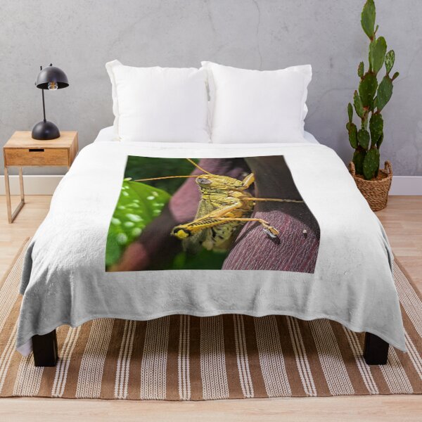 Item preview, Grasshopper designed and sold by searchlight.