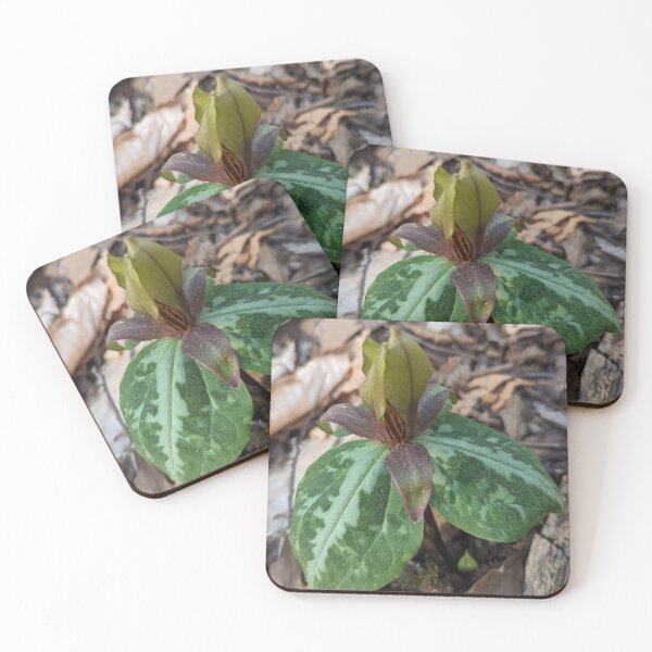 Item preview, Trillium designed and sold by ShannonDemarArt.
