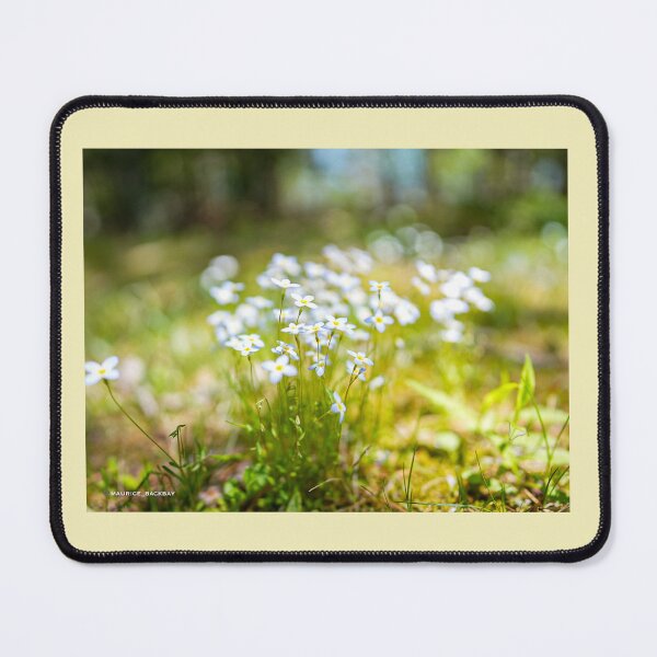 Item preview, spring time designed and sold by Maurice-BackBay.