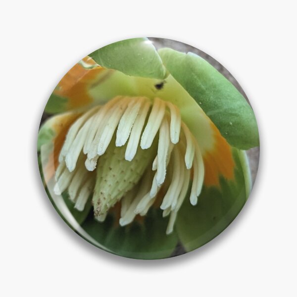 Item preview, Tulip Poplar Flower designed and sold by ShannonDemarArt.