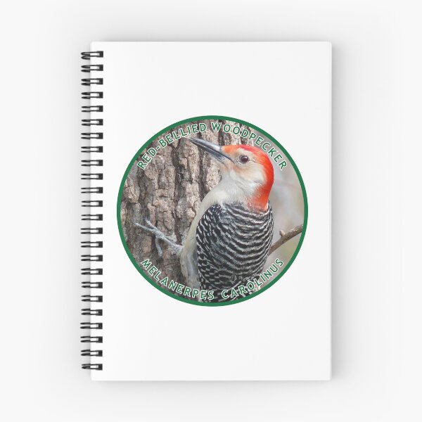 Item preview, Red Bellied Woodpecker designed and sold by TransportTees.