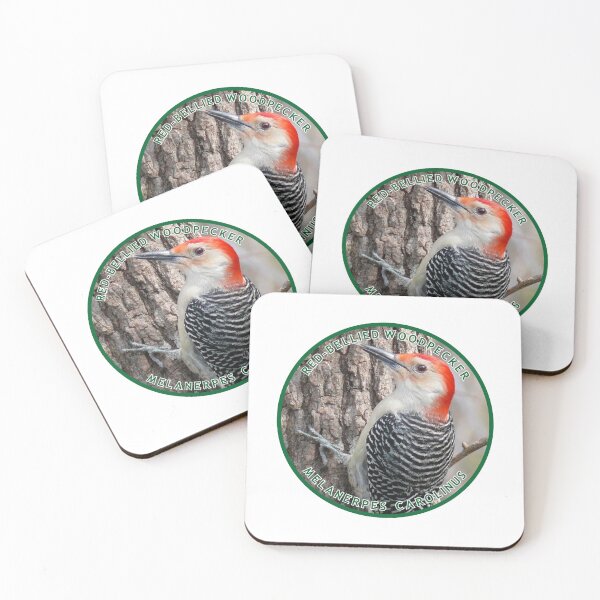 Item preview, Red Bellied Woodpecker designed and sold by TransportTees.