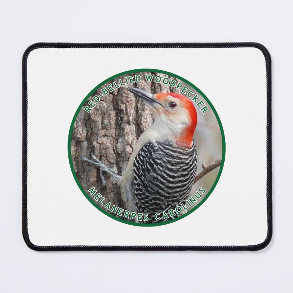 Item preview, Red Bellied Woodpecker designed and sold by TransportTees.