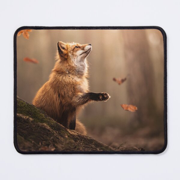 Item preview, Fox in Autumn designed and sold by Alatia.