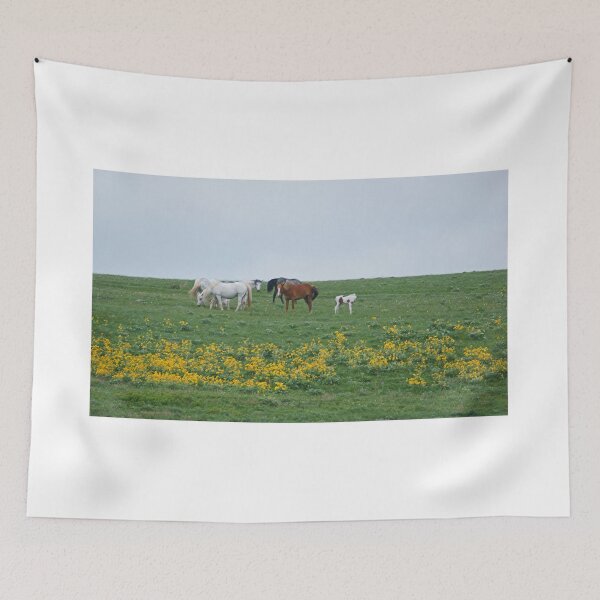 Item preview, Paint Foal with Herd and Wildflowers designed and sold by Vivar Photo.