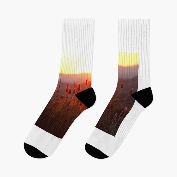 Item preview, Lavender Field designed and sold by Daniel  Dayan.