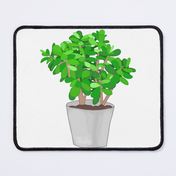 Item preview, Jade Plant designed and sold by Cutsiecottage.