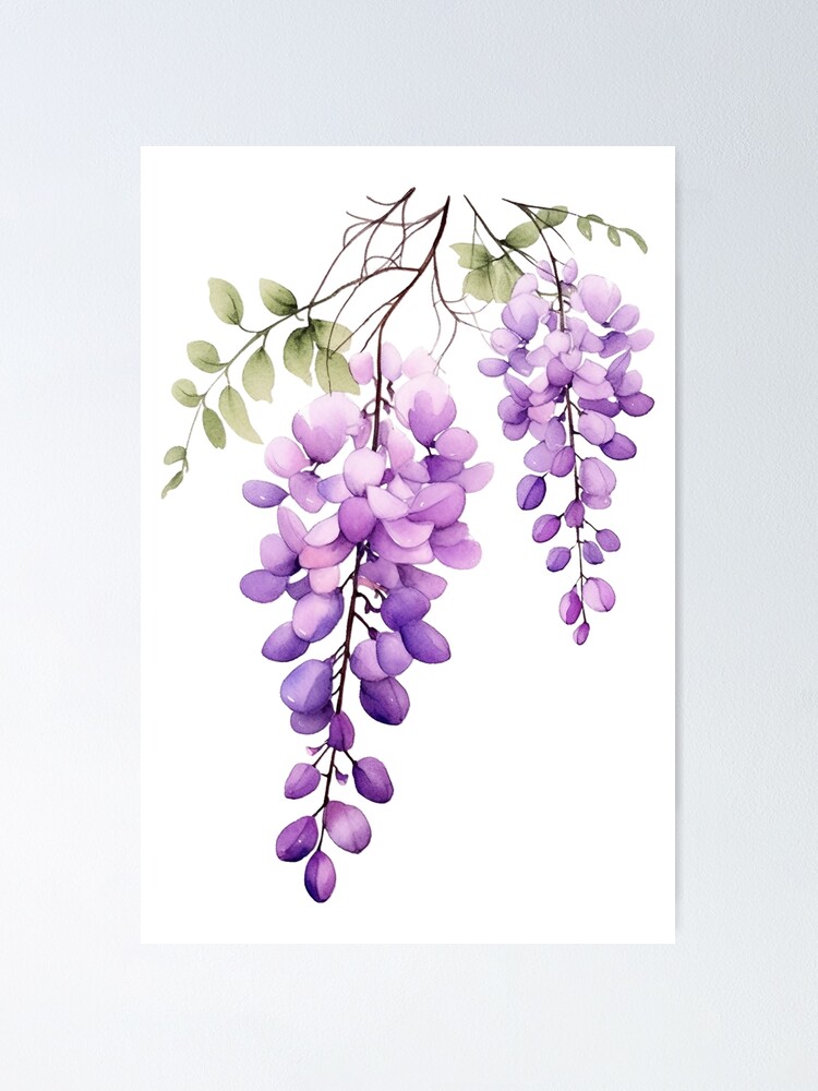 dangling purple wisteria watercolor, cutout Poster for Sale by  EmeraldeaArt