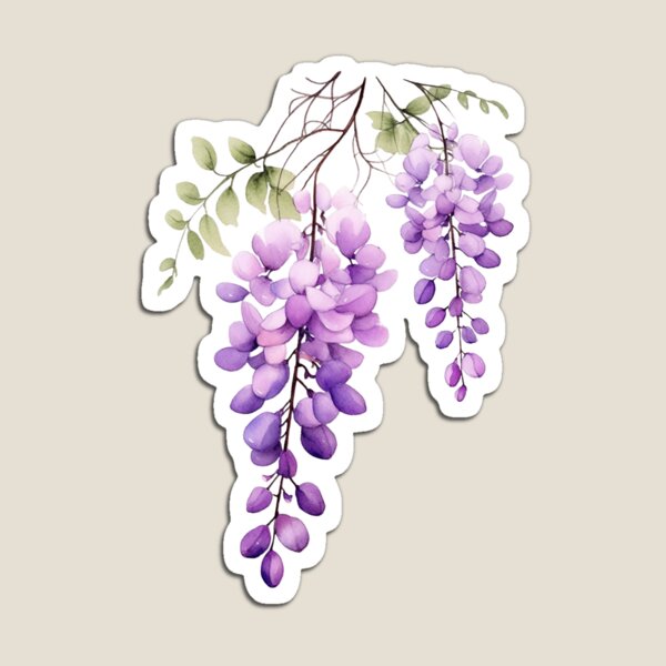 dangling purple wisteria watercolor, cutout Poster for Sale by  EmeraldeaArt