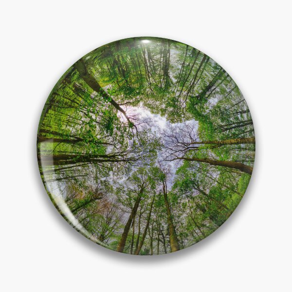 Item preview, Bluebell wood  designed and sold by TravellingSimon.