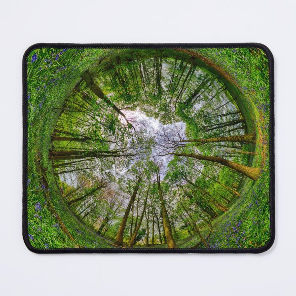 Item preview, Bluebell wood  designed and sold by TravellingSimon.