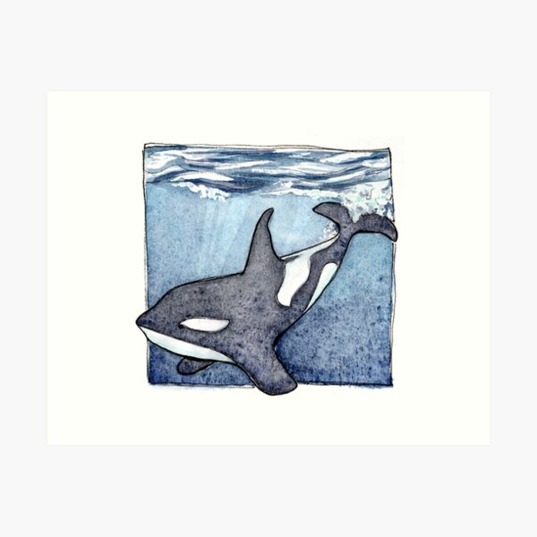 Orca whale in martini glass watercolor  Pin for Sale by Maryna Salagub