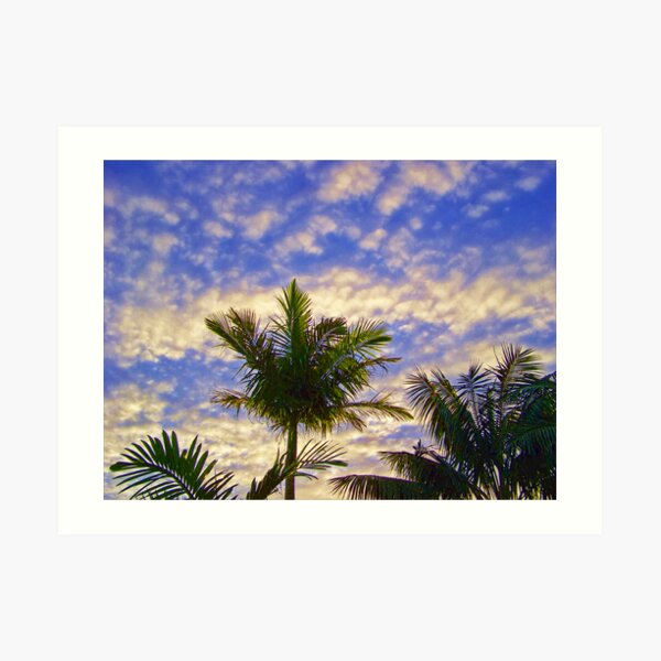 Palm Art Print