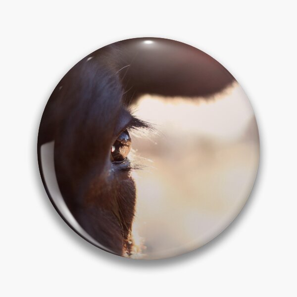 Item preview, Cows have the most beautiful eyes designed and sold by sanctuaryfaces.