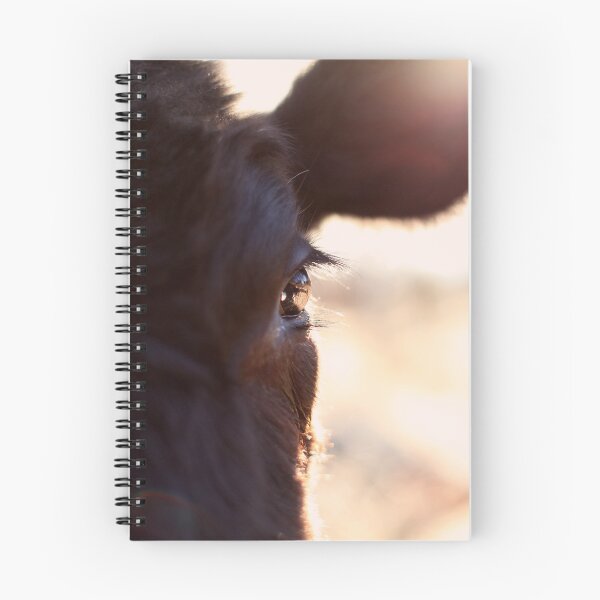 Item preview, Cows have the most beautiful eyes designed and sold by sanctuaryfaces.